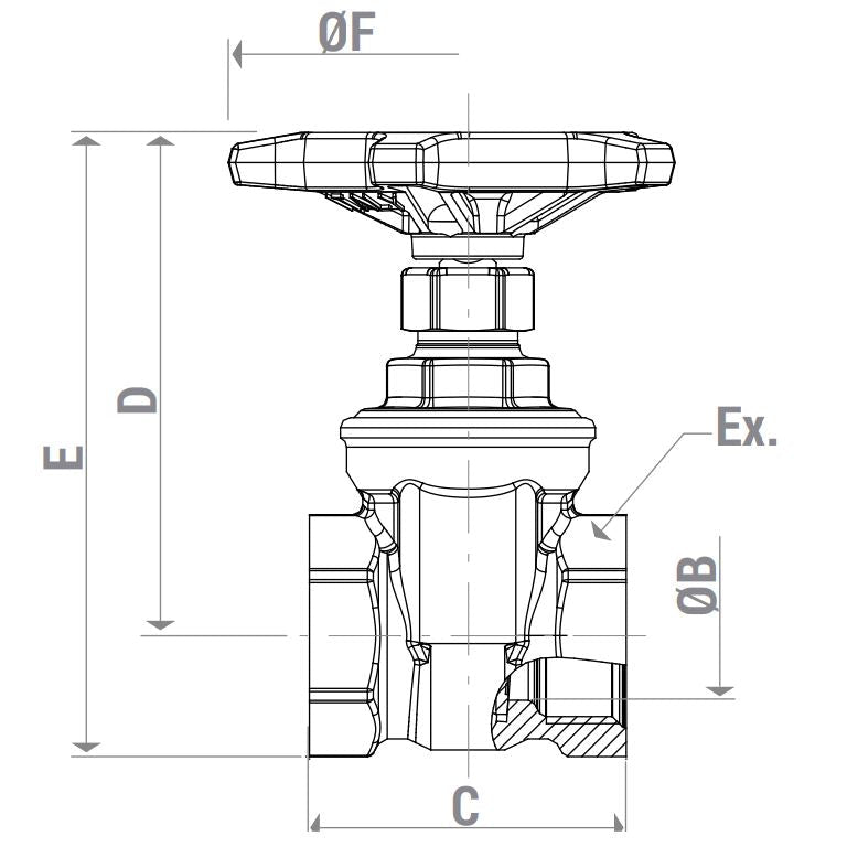 Սողնակ ներքին պարուրակով 1/2" Giacomini-R55Y003, 3/4" Giacomini-R55Y004, 2" Giacomini-R55Y008,1" Giacomini-R55Y005, 1"1/4 Giacomini-R55Y006,1" 1/2 Giacomini-R55Y007,2" 1/2 Giacomini-R55Y009,4" Giacomini-R55Y012,3" Giacomini-R55Y010