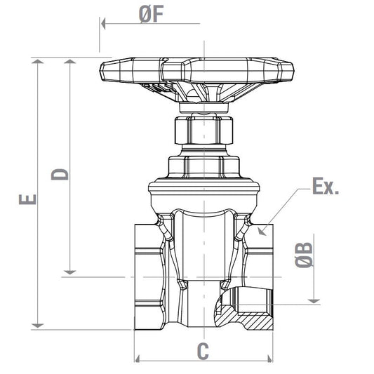 Սողնակ ներքին պարուրակով 1/2" Giacomini-R55Y003, 3/4" Giacomini-R55Y004, 2" Giacomini-R55Y008,1" Giacomini-R55Y005, 1"1/4 Giacomini-R55Y006,1" 1/2 Giacomini-R55Y007,2" 1/2 Giacomini-R55Y009,4" Giacomini-R55Y012,3" Giacomini-R55Y010