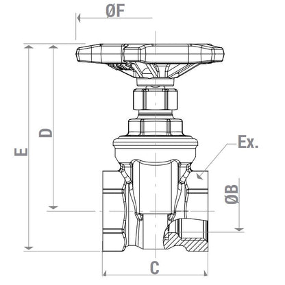 Սողնակ ներքին պարուրակով 1/2" Giacomini-R55Y003, 3/4" Giacomini-R55Y004, 2" Giacomini-R55Y008,1" Giacomini-R55Y005, 1"1/4 Giacomini-R55Y006,1" 1/2 Giacomini-R55Y007,2" 1/2 Giacomini-R55Y009,4" Giacomini-R55Y012,3" Giacomini-R55Y010